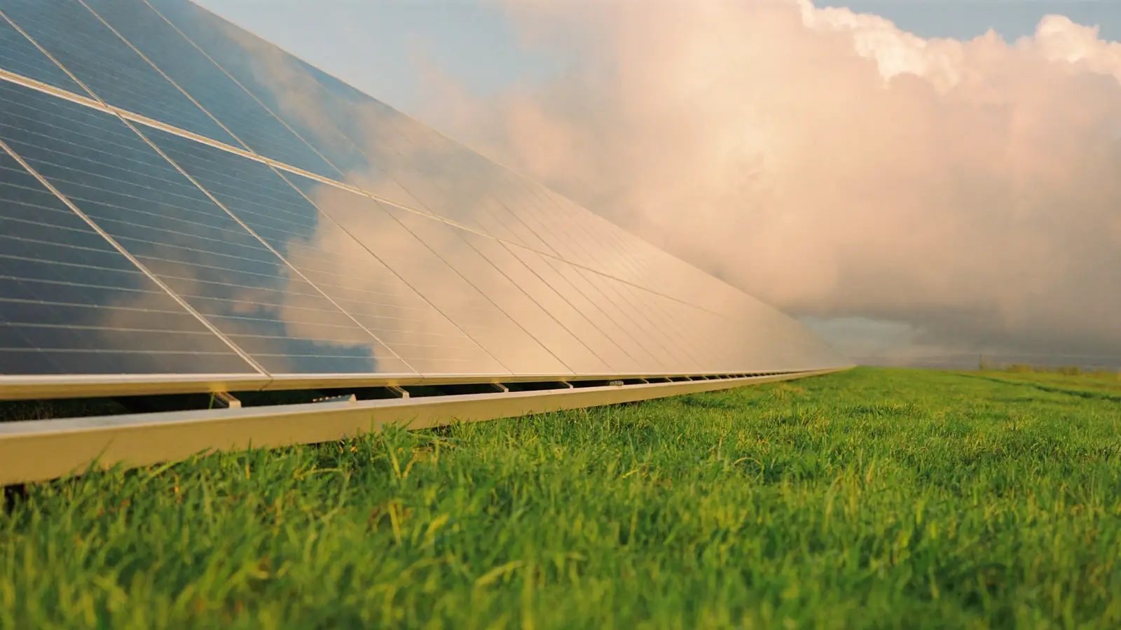 A row of photovoltaic panels mirroring the morning sky