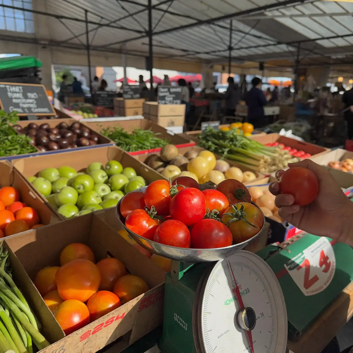 A vendor passing a bunch of leafy greens across a crate
