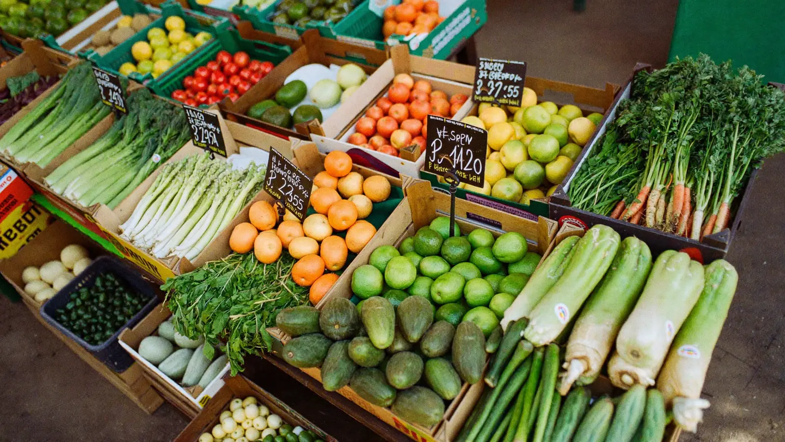 Wooden crates of vegetables and citrus packed edge to edge